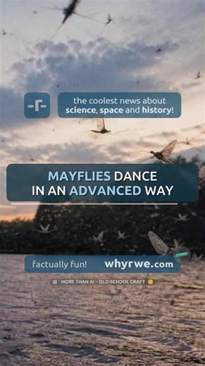 🧪 Mayflies dance in an advanced way