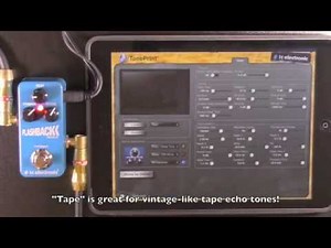 TC Electronic Flashback Mini Delay Review (w/ TonePrint Editor) - BestGuitarEffects.com