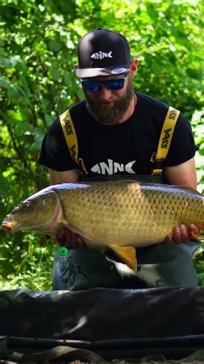 It measures length, estimates weight, and records weather the Magic Ball Pro #fishing #carpfishing