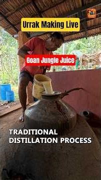 Urrak & Feni Making traditional Process | Goan traditional Drink Urrak #urrak #urrakmaking #goanfeni