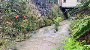 22K views · 710 reactions | After more than 50mm of rain in the past 24 hours or so, the creek is getting a good flush out. | Walhalla | Facebook
