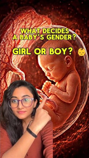 What Decides A Baby's Gender? Girl Or Boy — Doctor Explains | AskDoctorK