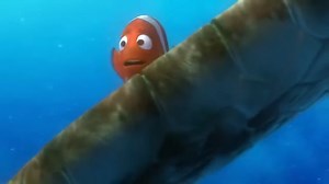 69K views · 2.6K reactions | "Hay que dejar que chiqui lo haga solo". Crush Película: Buscando a Nemo (2003) EE. UU. | Frases de Cine | Facebook