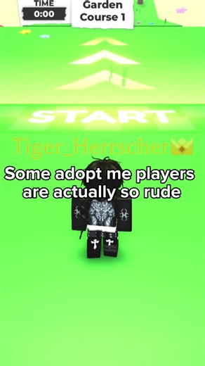 That's why I never chat in game🫩 #roblox #adoptme #rude #storytime #robloxobby