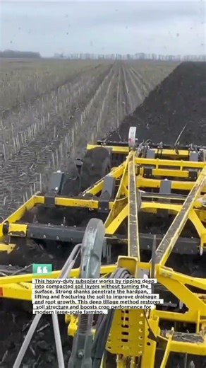Heavy Duty Subsoiler Breaking Hardpan | Deep Tillage Farming #subsoiler #farming #agriculture