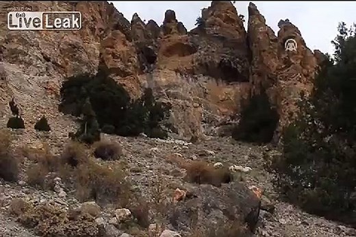 One sheep jumped from the cliff other 150 followed .