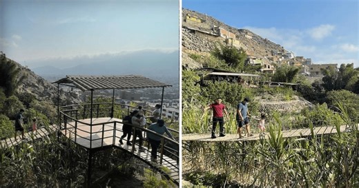 Ester Rodríguez revela cómo creó una selva escondida entre los cerros áridos de Lima con más de 100 variedades de plantas: "Fue un juego"