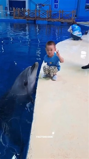 You Won't Believe What Dolphins Do! 😱🐬