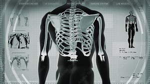 Animation of 3D Human Body Model Rotating. Bone Structure and several MRI. Futuristic Interface Technology. Vital signs.