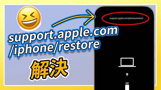 為什麼會出現 support.apple.com/iphone/restore？5 個快速修復