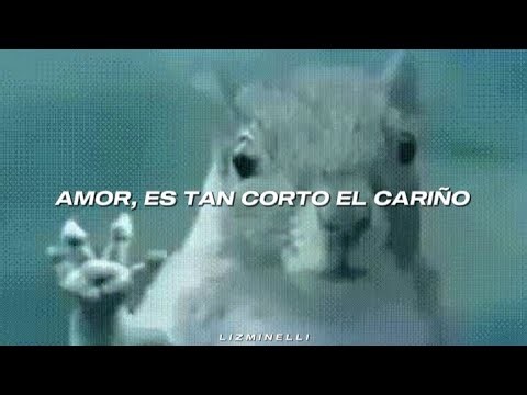 AMOR, ES TAN CORTO EL CARIÑO... 🗣️💔 || California - Los Vaguens // Letra. ♡