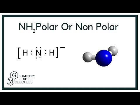 Is NH2- Polar or Non-Polar? (Amide ion)
