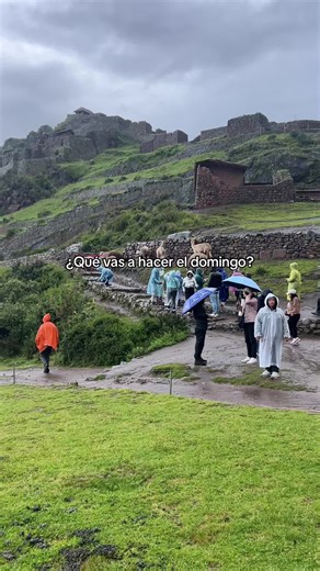 Escapa a la naturaleza: un fin de semana ideal