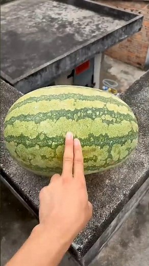 Experiment: Dropping fruits from a hhttps:/h🍌🍉💥#shorts