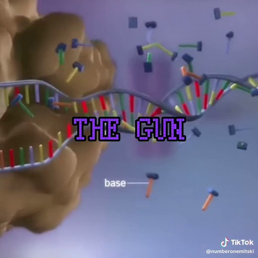 Mitochondria and ATP Synthase Biology Animation