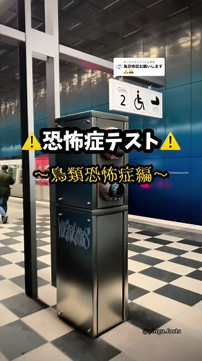 凰牙るき: ボール恐怖症診断テスト | コザクラインコとセキセイインコに関連する恐怖症画像