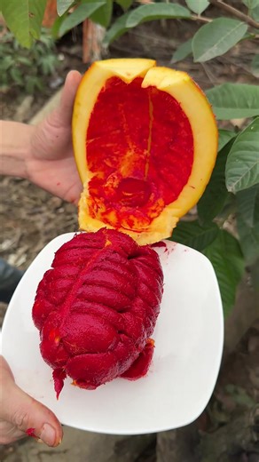 Satisfying Fruit Cutting ASMR Experience