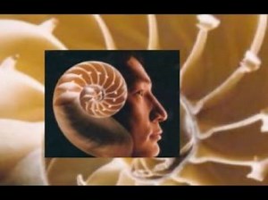 Dr. Eugene Tsui - Architect