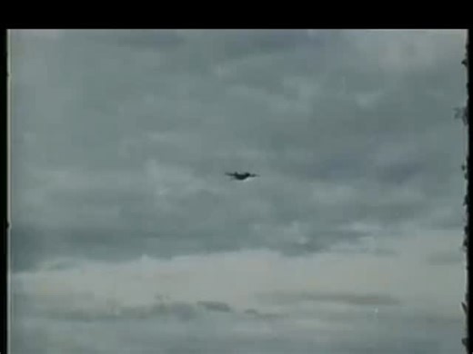 Screaming Eagles 101st Airborne Division Vietnam | Jamie Garcia