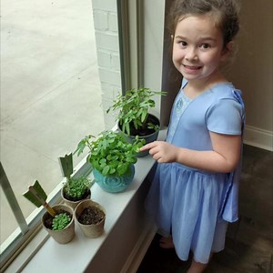 How does kindergarten virtual learning work? Check out what Mrs. Pitre’s class has been up to.  | Denham Springs Elementary | Facebook