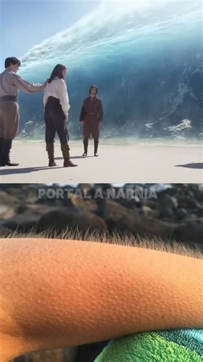 Así todo el cuerpo con esta escena 🥹🦁 #narnia #fox #aslan | Portal a Narnia