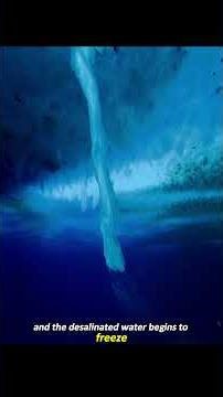 A deadly tentacle slowly extends, #animals #wildlife