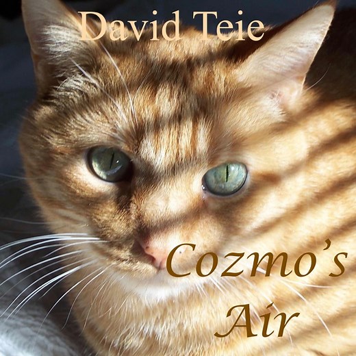 Cozmo's Air - David Teie: Song Lyrics, Music Videos & Concerts