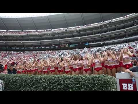 Million Dollar Band performing Basket Case