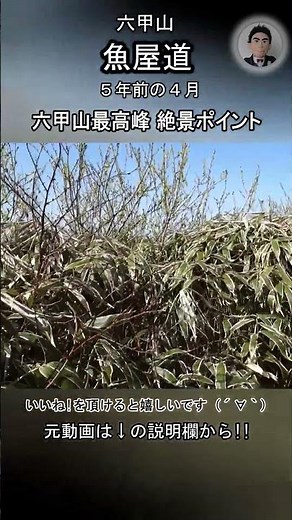 六甲山最高峰 絶景ポイント ここはお勧めです 行ってみてください (No Voice / Nature Sounds / POV) 魚屋道 六甲山 登山 ハイキング 王道ルート 有馬温泉