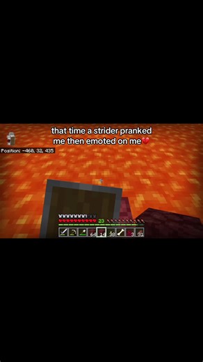 Minecraft Strider Prank: A Hilarious Encounter