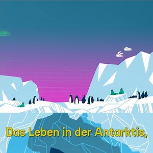 Krill ist gerade mal so groß wie ein Finger, aber es ist DIE zentrale Nahrungsquelle für Pinguine🐧, Wale 🐋 und viele andere Tiere in der Antarktis! Helft uns, die Krillfischerei aus dem Weddellmeer fernzuhalten und hier das größte Meeresschutzgebiet der Welt einzurichten: http://act.gp/2pap36O | Greenpeace Deutschland