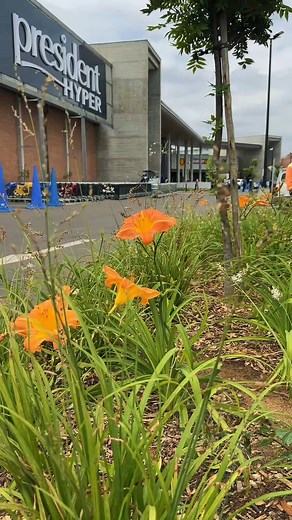 Fabulous Fridays at President Boulevard! 😎 From sleek lines to stunning spaces, admire the spacious vibe and enjoy every corner of Rustenburg’s favourite shopping destination — shopping has never looked this good! ✨ Come see it for yourself this weekend. #PresidentBoulevard #Rustenburg #ShopLocal #RustenburgLifestyle #BeautifulSpaces #ArchitectureLovers #LocalFavourites #LoveWhereYouShop #YourLocalCentre #WeekendVibes | President Boulevard