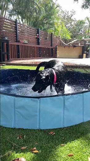 Hyperzoo Large Foldable Dog Pool 67" x 12", Hyperzoo Oversize Collapsible Dog Pet Bathing Tub Portab