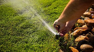 10 tips on maintaining your lawn through intense summer heat
