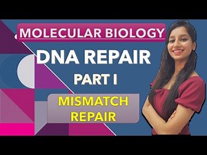 Mismatch Repair|Dna Repair Part I |Molecular Biology| Repair System|CSIRNET|GATE|IITJAM|DBT|ICMR| Video Lecture | IIT JAM Biotechnology Crash Course
