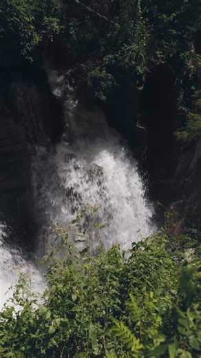La naturaleza te espera con todo su esplendor, visitá el Parque Nacional Iguazú y disfrutá del Área Cataratas 😎🌴 | Iguazú Argentina
