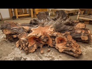 500-Year-Old Tree Stump Turned Into a Work of Art - You Must See!