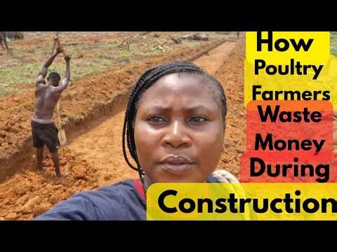 Where Poultry Farmers Waste Money During Construction | Farm Expansion Series