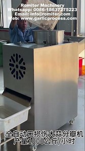 Full Automatic Garlic Clove Splitting Machine