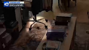 Exclusive: Family with nonverbal son relocated amid mouse infestation in Brooklyn apartment