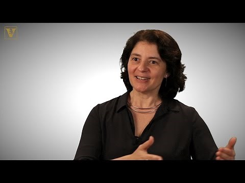 The Human Advantage: A New Understanding of How Our Brain Became Remarkable