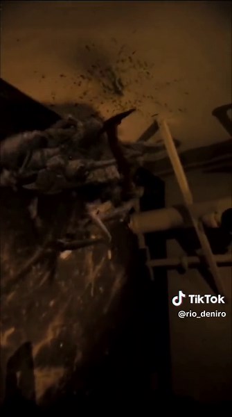 Cloverfield: El Organismo y sus Monstruos