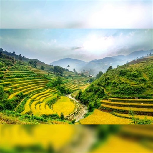 VERA'S THEME - Ray Conniff and His Orchestra | MUSIC of MY LIFE