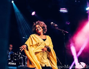 Les meilleurs groupes de musique de la Martinique et des Antilles