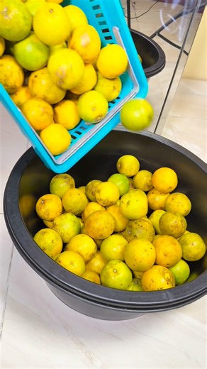 RAYLUX KITCHEN APPLIANCES: Blender, Juicer, Air Fryer In Nigeria on Instagram: "This machine is not here to play. 250 oranges. Under 10 minutes. No breaks. No excuses. The Raylux Industrial Citrus Juicer is built for real production. Full stainless steel body. Unbreakable, industrial-grade BPA-free plastic parts. Runs non-stop for hours without flinching. If you’re still squeezing by hand or managing small machines, you’re slowing your business down. Honestly. Price: ₦3,200,000 Order directly on