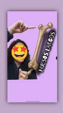 Hueso