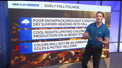 Colorado fall colors 2025 arriving early: See peak foliage forecast