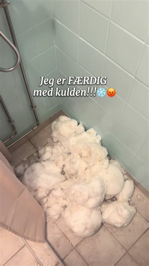 Kamp mod kulde: Min modtagelse af sneen i København