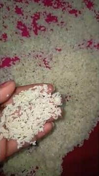 अनारसा,हिस्से, एस्से अलग अलग नाम होली की एक नई रेसिपी#anarsa #hisse #holispecial #priyamahendra1911