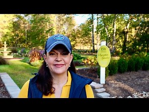 3 Easy Container Ideas for Your Fall Garden